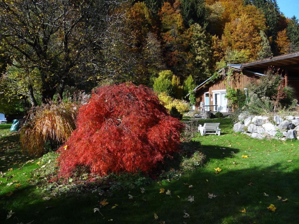 Gaestehaus Buehler Oberstdorf Pokój zdjęcie